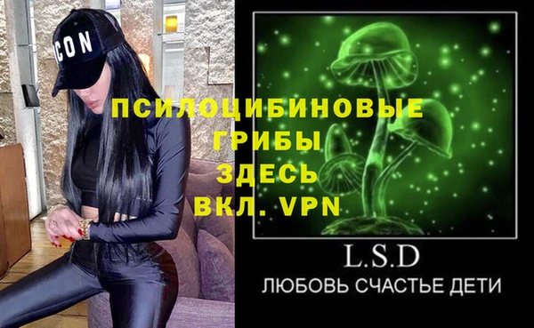 ПСИЛОЦИБИНОВЫЕ ГРИБЫ Пестово