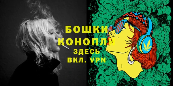 мескалин Осинники
