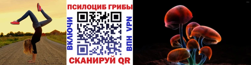 купить наркотики цена  Волоколамск  Галлюциногенные грибы Cubensis 